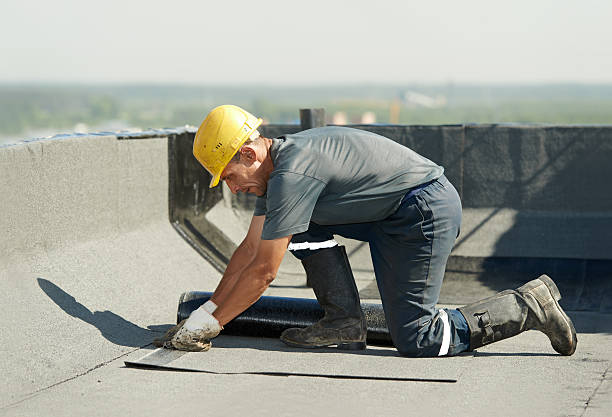 Best Attic Insulation Installation  in Shields, MI