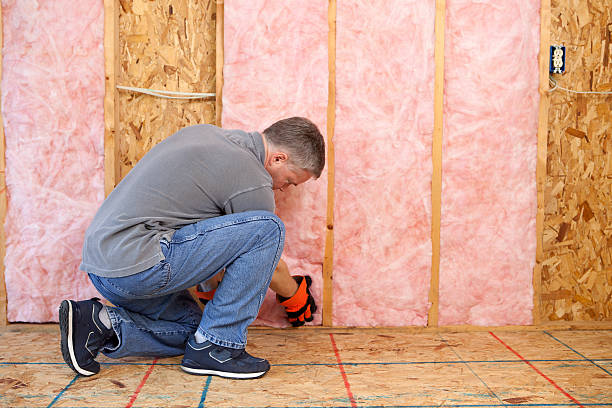 Best Garage Insulation Installation  in Shields, MI