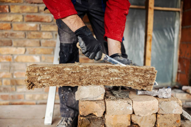 Best Energy-efficient Insulation  in Shields, MI