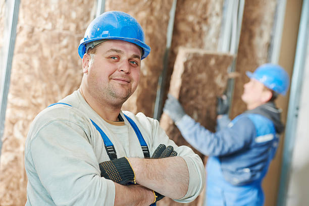 Best Cellulose Insulation  in Shields, MI